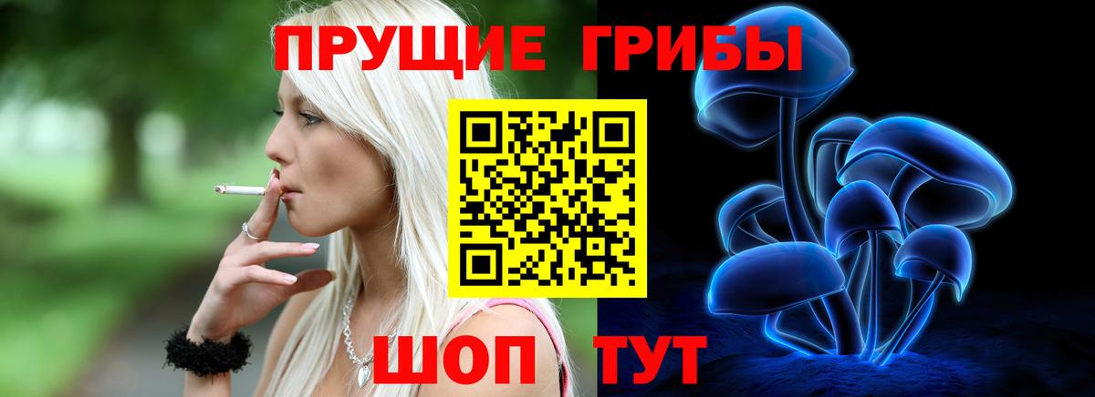 Галлюциногенные грибы GOLDEN TEACHER Усть-Джегута